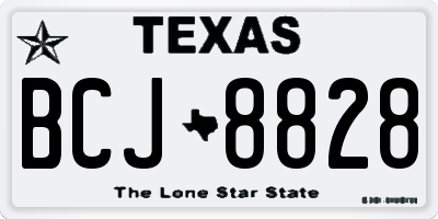 TX license plate BCJ8828