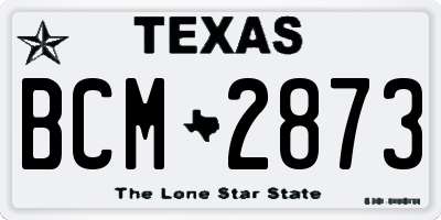TX license plate BCM2873