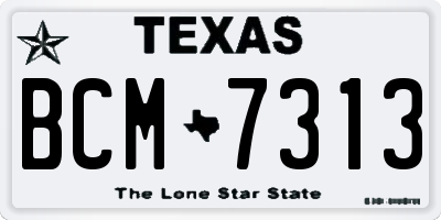 TX license plate BCM7313