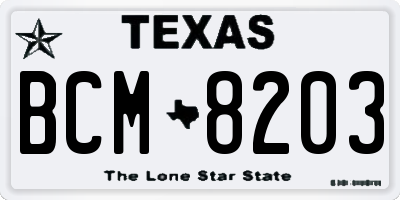 TX license plate BCM8203