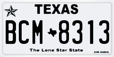 TX license plate BCM8313