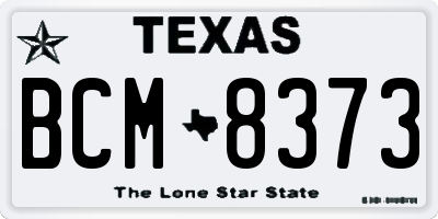 TX license plate BCM8373