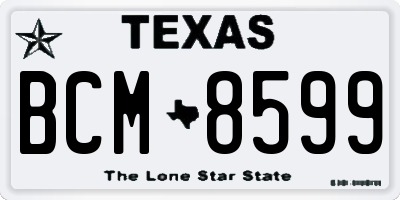 TX license plate BCM8599