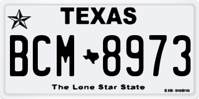 TX license plate BCM8973