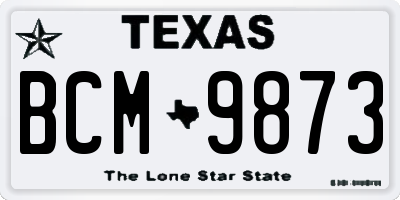 TX license plate BCM9873