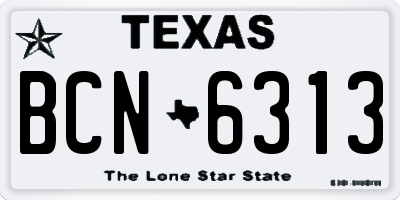 TX license plate BCN6313