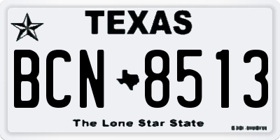 TX license plate BCN8513