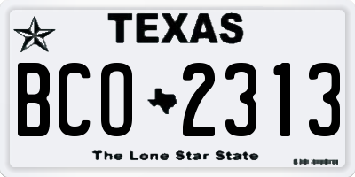 TX license plate BCO2313