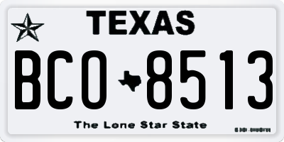 TX license plate BCO8513