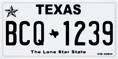 TX license plate BCQ1239