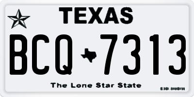 TX license plate BCQ7313