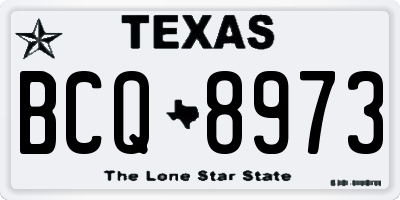 TX license plate BCQ8973