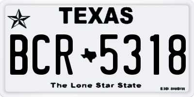 TX license plate BCR5318