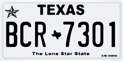 TX license plate BCR7301