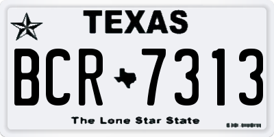 TX license plate BCR7313