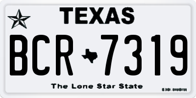 TX license plate BCR7319