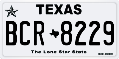 TX license plate BCR8229