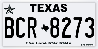 TX license plate BCR8273