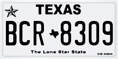 TX license plate BCR8309
