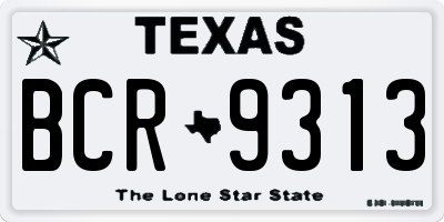 TX license plate BCR9313