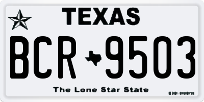 TX license plate BCR9503