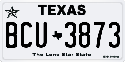 TX license plate BCU3873