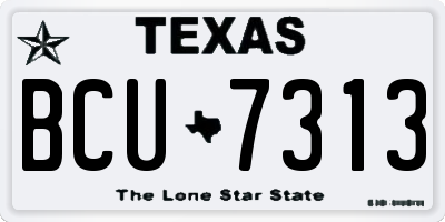 TX license plate BCU7313