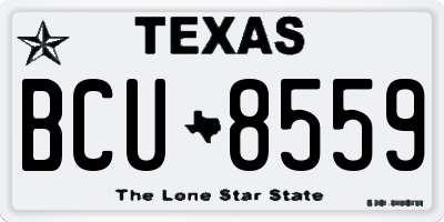 TX license plate BCU8559