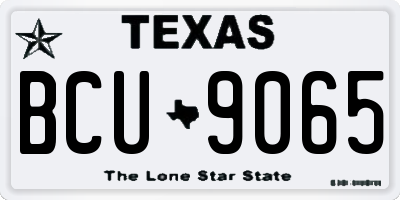 TX license plate BCU9065