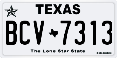 TX license plate BCV7313