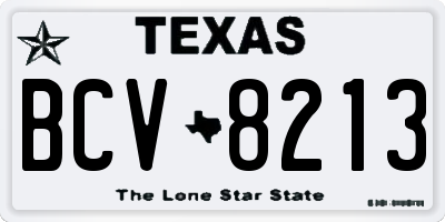 TX license plate BCV8213