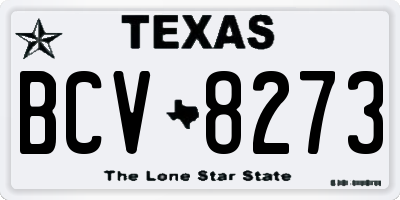 TX license plate BCV8273