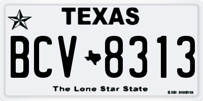 TX license plate BCV8313