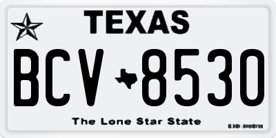 TX license plate BCV8530