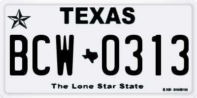 TX license plate BCW0313