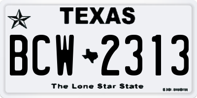 TX license plate BCW2313