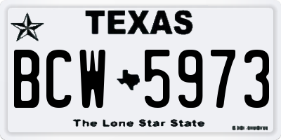 TX license plate BCW5973