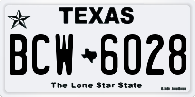 TX license plate BCW6028
