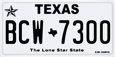 TX license plate BCW7300