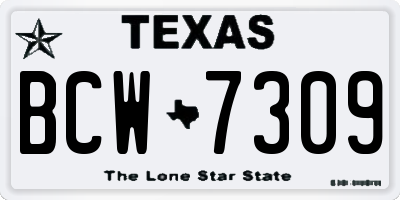 TX license plate BCW7309