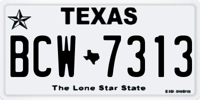 TX license plate BCW7313