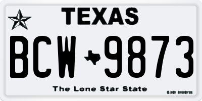 TX license plate BCW9873