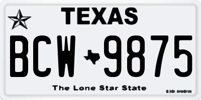 TX license plate BCW9875