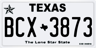 TX license plate BCX3873