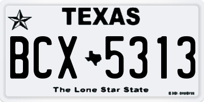 TX license plate BCX5313