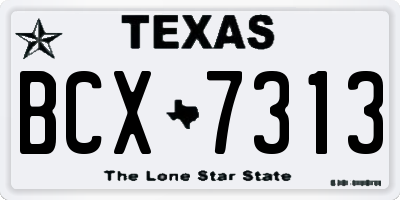 TX license plate BCX7313