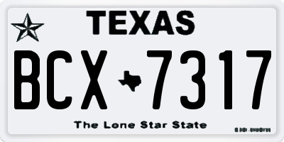 TX license plate BCX7317