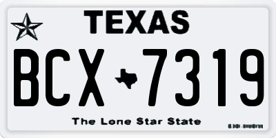 TX license plate BCX7319