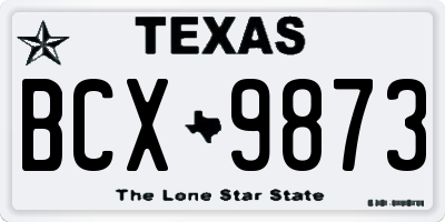 TX license plate BCX9873