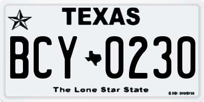 TX license plate BCY0230